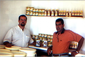 Municpio produz melhor mel da Bahia